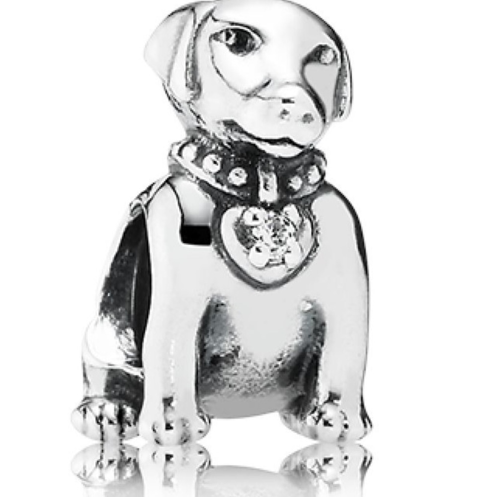 Pandora dog charm